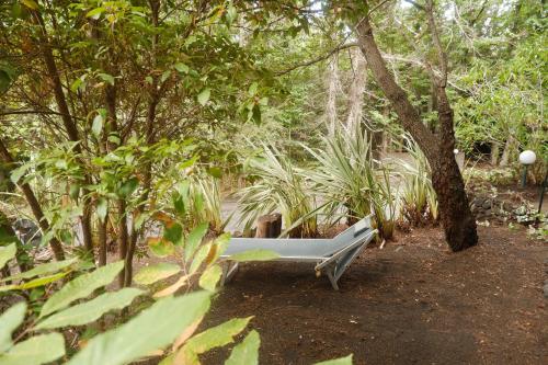 花園, Etna Rural Cottage with Jacuzzi in 尼科洛西