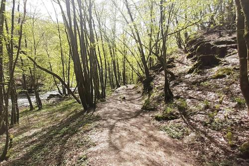 Gîtes l escurou (Gites l escurou) in Daverdisse