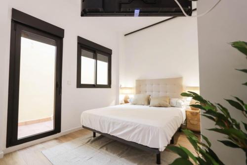 Hostal Roca 26, Valencie (fotografie 9)