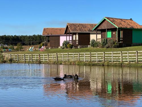 Quinta da Soliran Chalés Rural - Osvaldo Kroeff