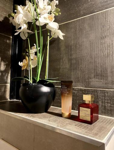 Beautiful One-Bedroom Apartment- City Center Lyon, Lyon (fotografie 3)