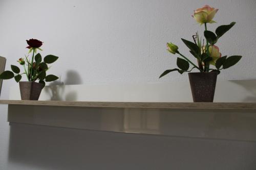 María montessori, pedagoga, Valencie (fotografie 10)