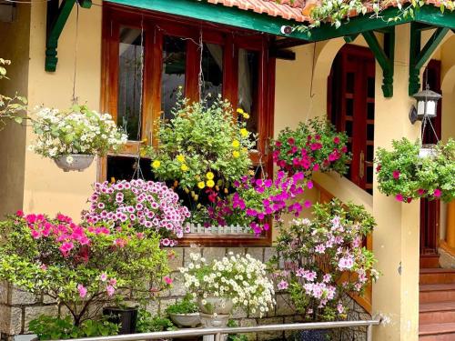 Villa Vườn Hồng