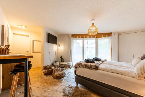 Cozy Chamia Studio, Zermatt (fotografie 10)