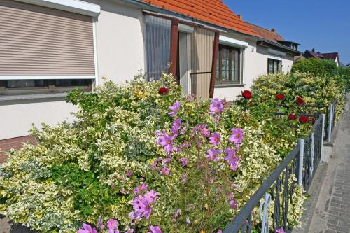 Ferienhaus Christa - image 10
