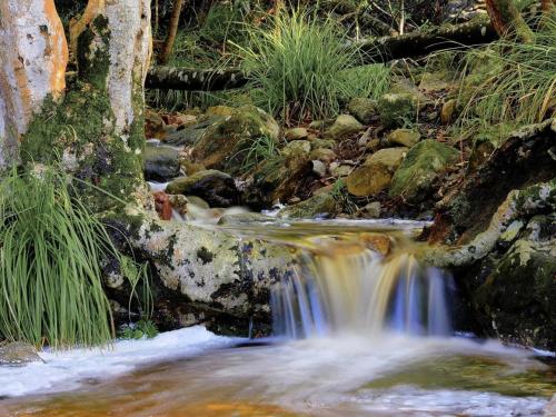 Greenfern Lodge and Chalets Greenfern Lodge and Chalets