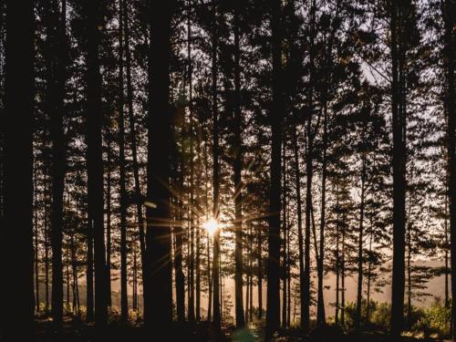 Greenfern Lodge and Chalets Greenfern Lodge and Chalets