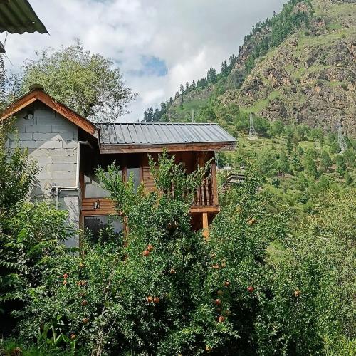 Odyssey Stays Kasol - Tree House & Swiss Tent - Kasol