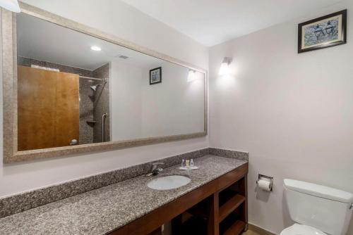 Comfort Suites in Macon, USA