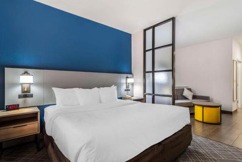 Comfort Suites Macon - image 6