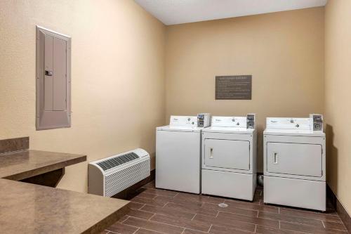 Comfort Suites Keeneland - image 13