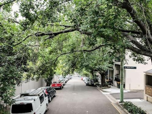 Multi Level Surry Hills Home with Terrace - image 4