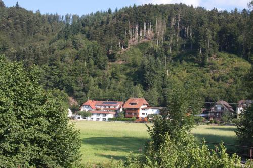 Ferienwohnung am Rain - Apartment - Winden im Elztal