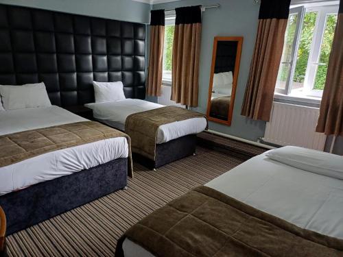 Room, family, 3 beds