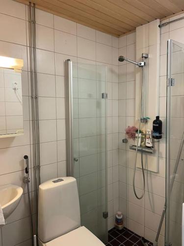 Kotimaailma Aparthotel Kamppi - Pieni yksiö, Helsinki (foto 10)