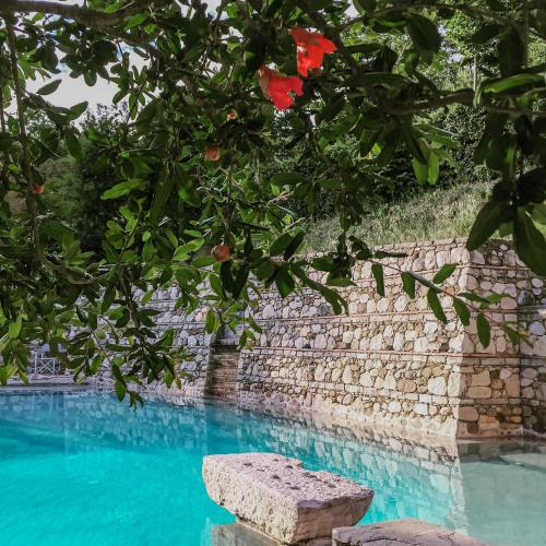 . Tenuta SantoJanni - Irpinia