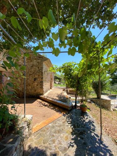 Apkārtne, Tenuta SantoJanni - Irpinia in Rocca San Felice