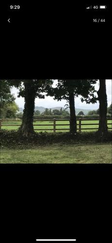 Luxury Cottage in Mooncoin Village