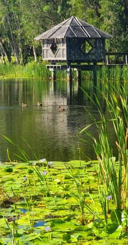 Hitters Paradise Stay Play