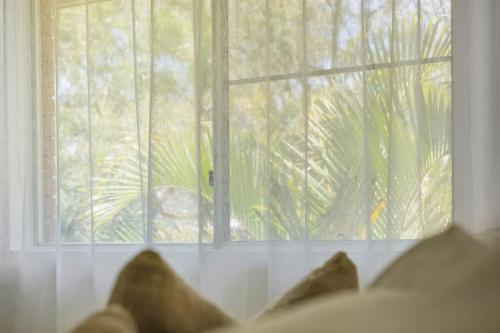 The Nest Luxury Apartment 100m to the Beach - image 3