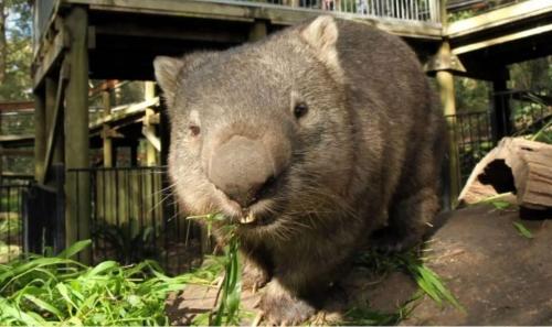 Hilltop Hideaway Family Escape Hilltop Hideaway Family Escape