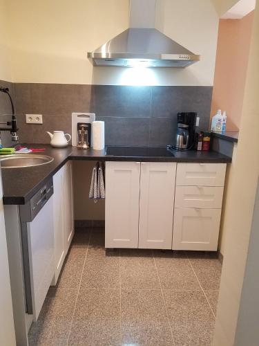 Ferienwohnung KiFaSu, großer Garten, Hunde nach Rücksprache möglich, Leipzig (photo 8)
