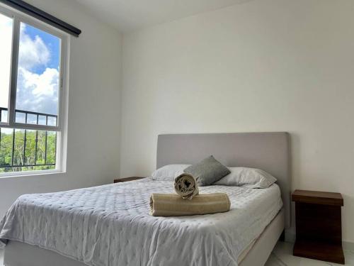 Hermoso y amplio departamento para 5 en Tulum iR23