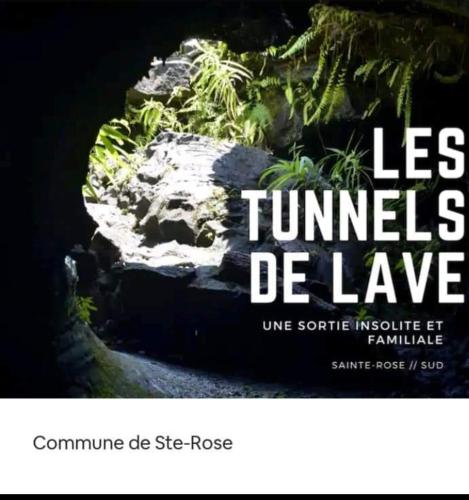 Petite Maison Atypique En Bois in Sainte Rose