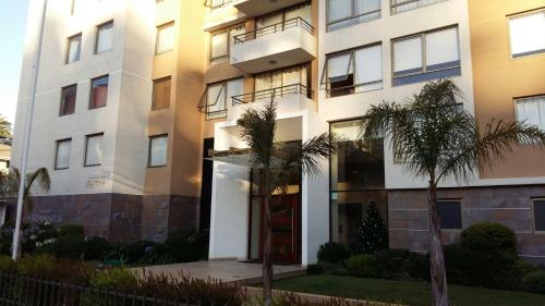 Apartamento En Viña Del Mar