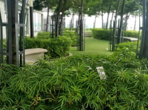 Pool World at Robertson Residence Kuala Lumpur - image 4