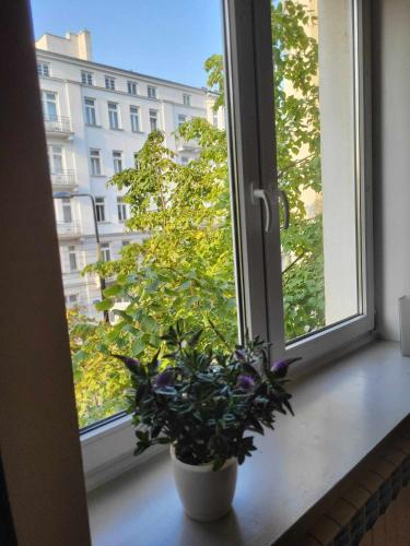 Noakowskiego - serce Warszawy, Hala Koszyki, Warsaw (photo 6)