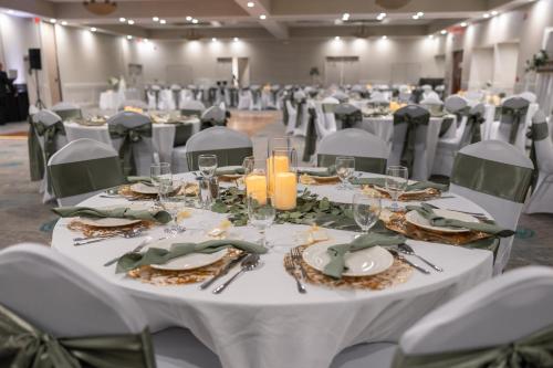 Holiday Inn Johnson City By IHG - 회의실/연회장