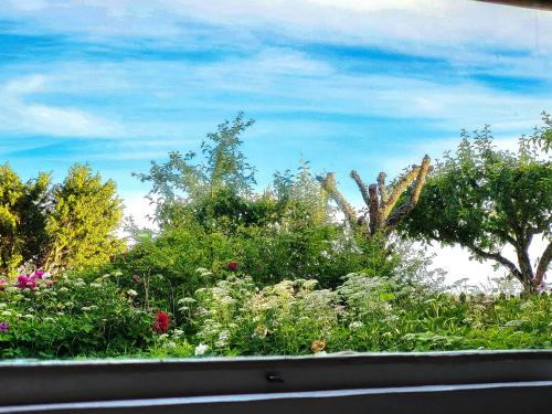 Kilátás, Lantligt gästrum med gratis wifi & bastu (Lantligt gastrum med gratis wifi & bastu) in Motala