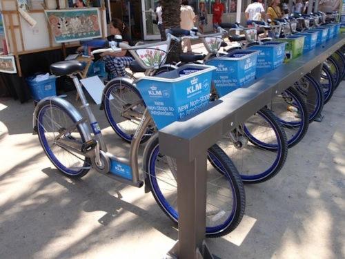 Bikini Lodge - main image