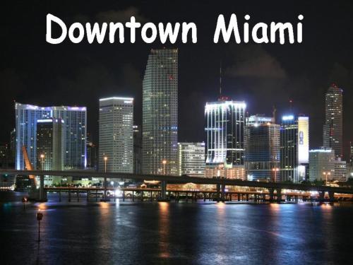 Bikini Lodge - image 3