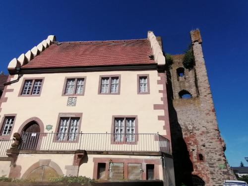 Ferienwohnung Apartment Fewo Alojamiento Casa Demy in 巴本豪森