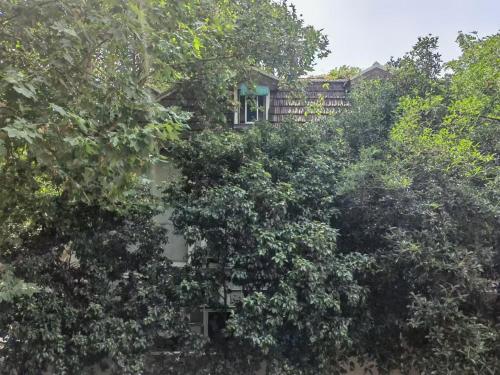 Shanghai Historical Forest Cabin loft With Balcony at second floor near middle Huaihai road, Shanghai (Foto 4)
