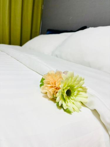 RED House|12 minutes from the station|Quiet area|Direct access to Shinjuku & Akihabara 3