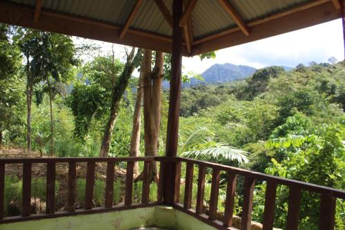 Green View Guest House only treking with US in Bukit Lawang