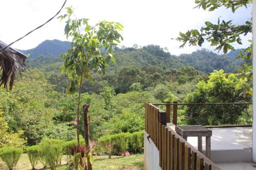Surrounding environment, Green View Guest House only treking with US in Bukit Lawang