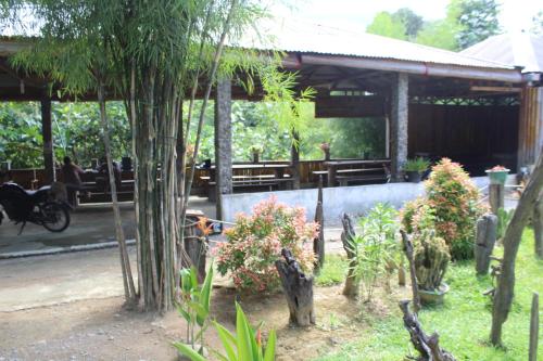 Restaurant, Green View Guest House only treking with US in Bukit Lawang