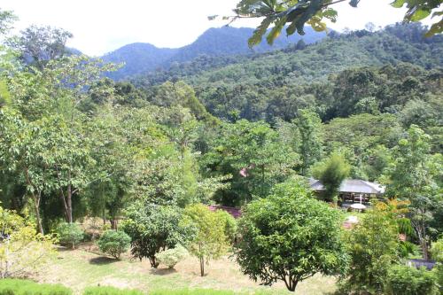 View, Green View Guest House only treking with US in Bukit Lawang