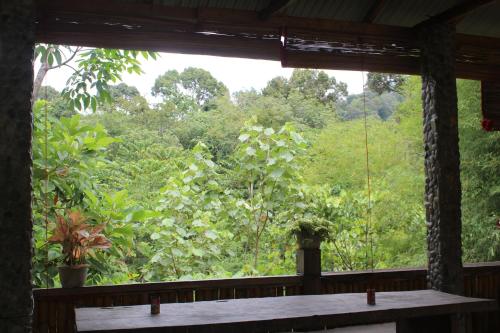 Green View Guest House only treking with US in Bukit Lawang