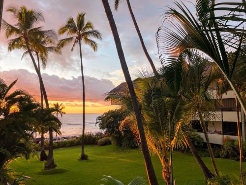 Magic Sands Beach view, 2B2B, AC, Pool, Sleeps 6