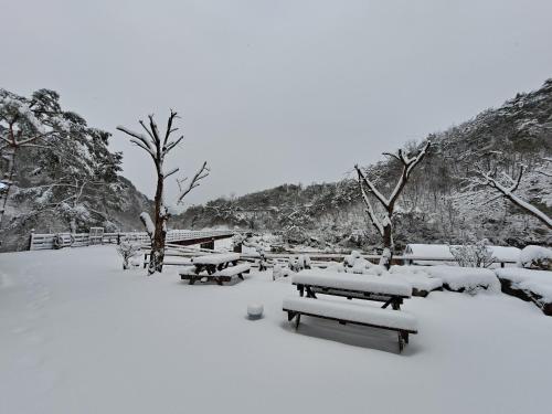 hongcheon river view sonamu pension near Pumgeolri Ojimaeul-gil Trail
