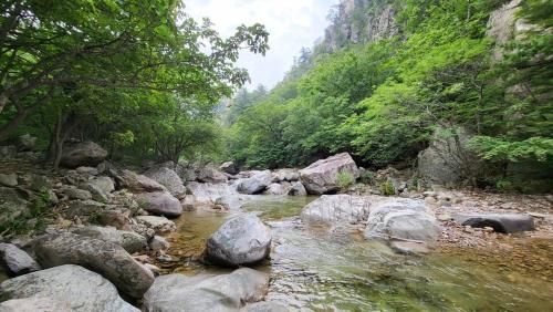 Sokcho Floating Whale Seorak Dojeok Waterfall Stay