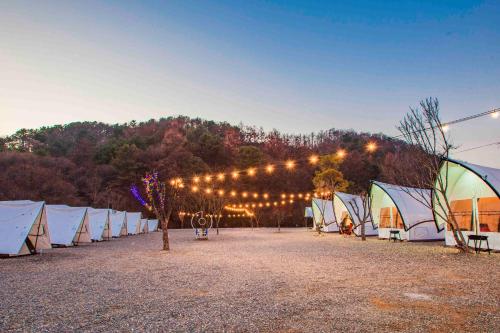 Gapyeong The Camp Caravan Glamping Gapyeong The Camp Caravan Glamping