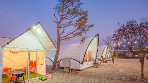 Gapyeong The Camp Caravan Glamping Gapyeong The Camp Caravan Glamping