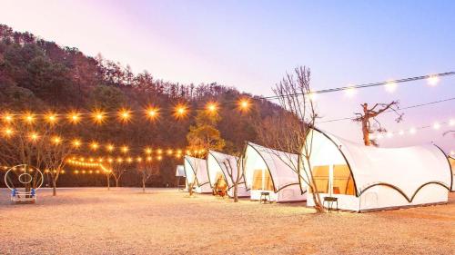 Gapyeong The Camp Caravan Glamping Gapyeong The Camp Caravan Glamping