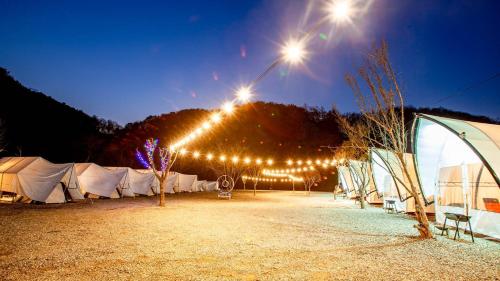 Gapyeong The Camp Caravan Glamping Gapyeong The Camp Caravan Glamping